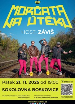Morčata na útěku + Záviš - ventip.cz