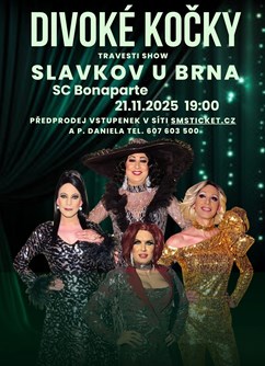 Travesti Divoké kočky Slavkov u Brna - ventip.cz