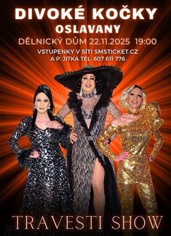 Travesti show Divoké kočky v Oslavanech - ventip.cz