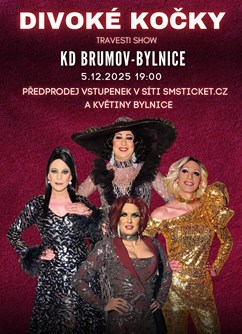 Travesti show Divoké kočky v Brumově - Bylnici - ventip.cz