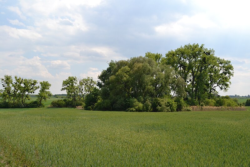 Aloch (tvrz) - ventip.cz