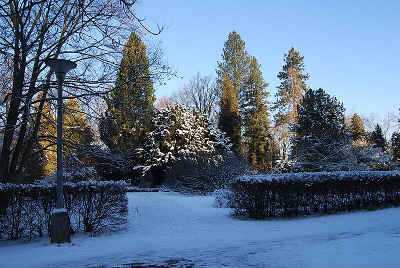Arboretum Lesnické školy v Písku - ventip.cz