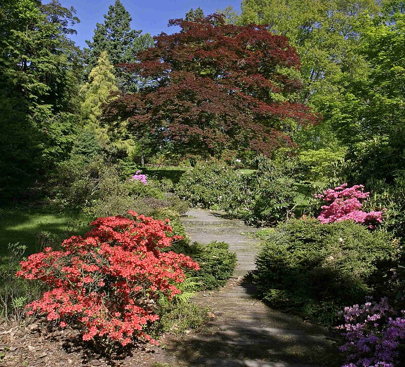 Arboretum Nový Dvůr - ventip.cz