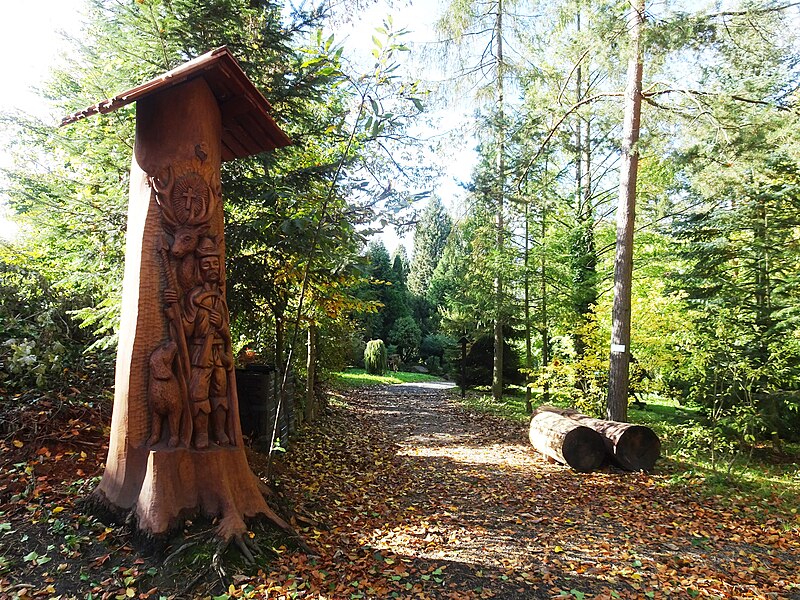 Arboretum Střední lesnické školy v Hranicích - ventip.cz
