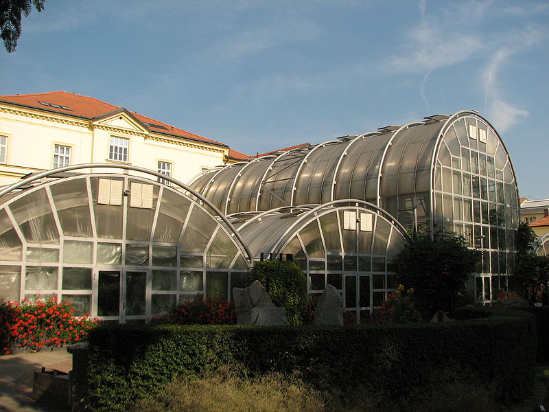 Botanická zahrada Přírodovědecké fakulty Masarykovy univerzity v Brně - ventip.cz