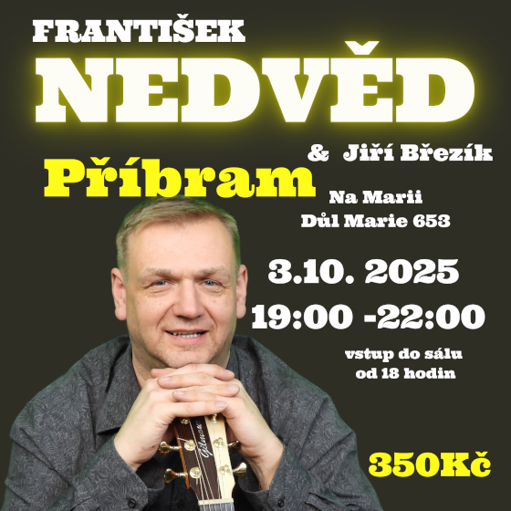 František Nedvěd a Jiří Březík - ventip.cz