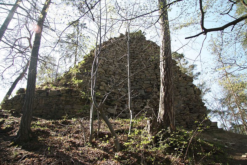 Holoubek (hrad) - ventip.cz