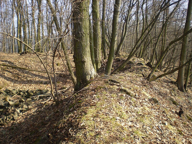 Horákov (hrad) - ventip.cz
