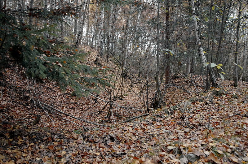 Kager (zámek) - ventip.cz