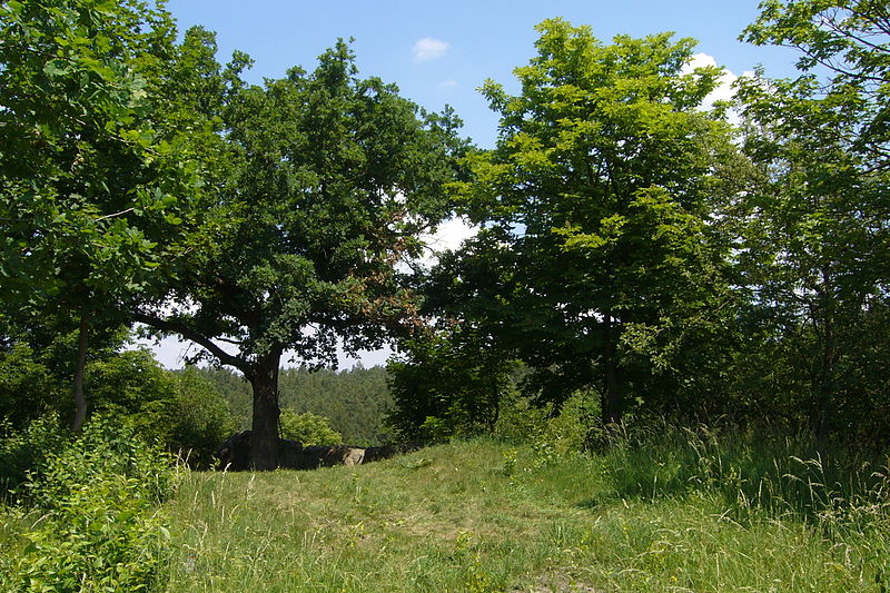 Komberk (hrad) - ventip.cz