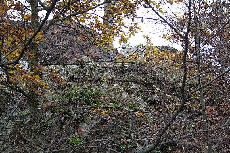 Kozlov (hrad) - ventip.cz