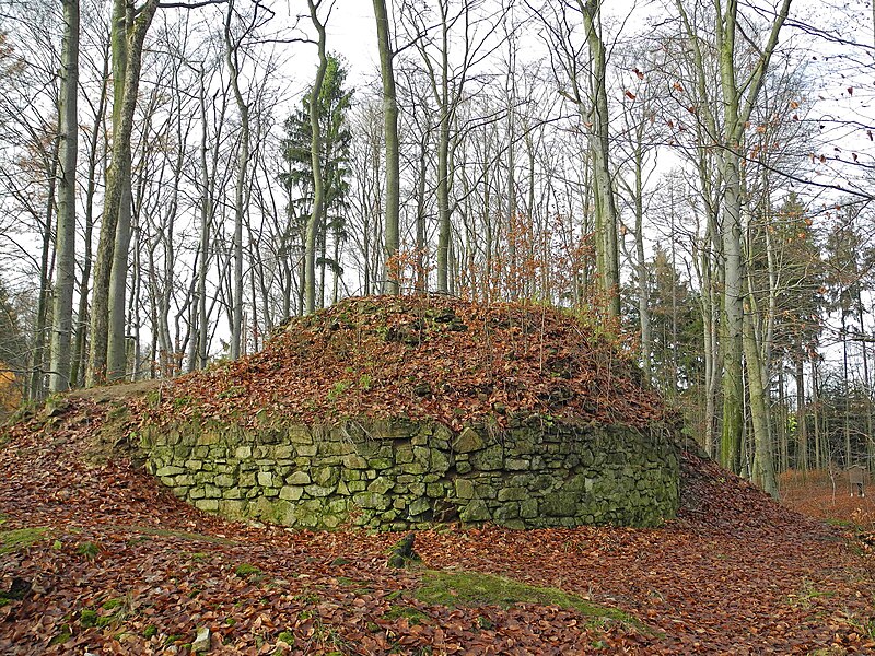 Krásný Buk (hrad) - ventip.cz