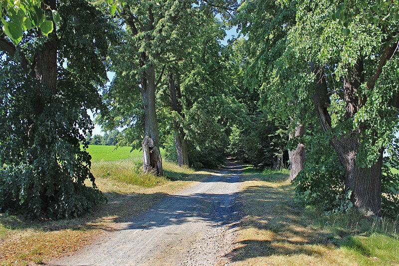 Křížová cesta (Horšovský Týn) - ventip.cz
