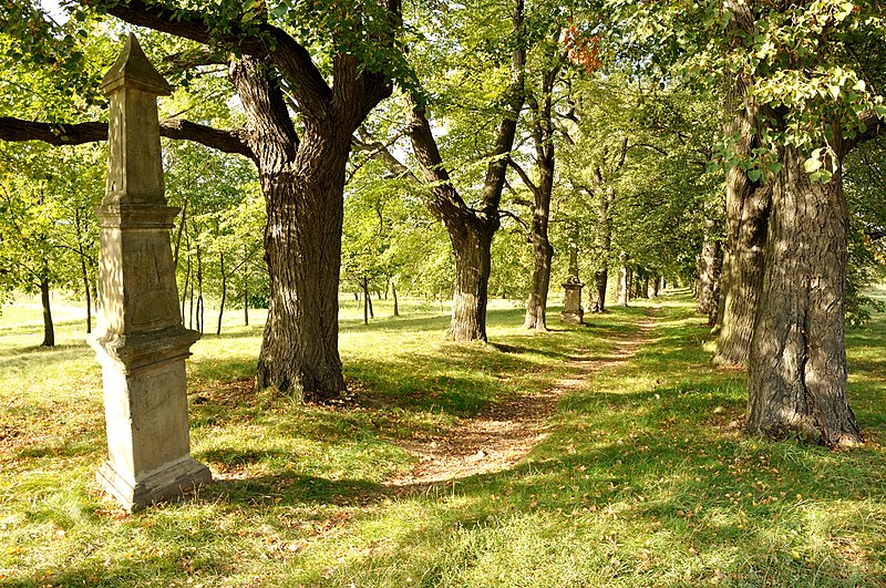 Křížová cesta (Rosice) - ventip.cz