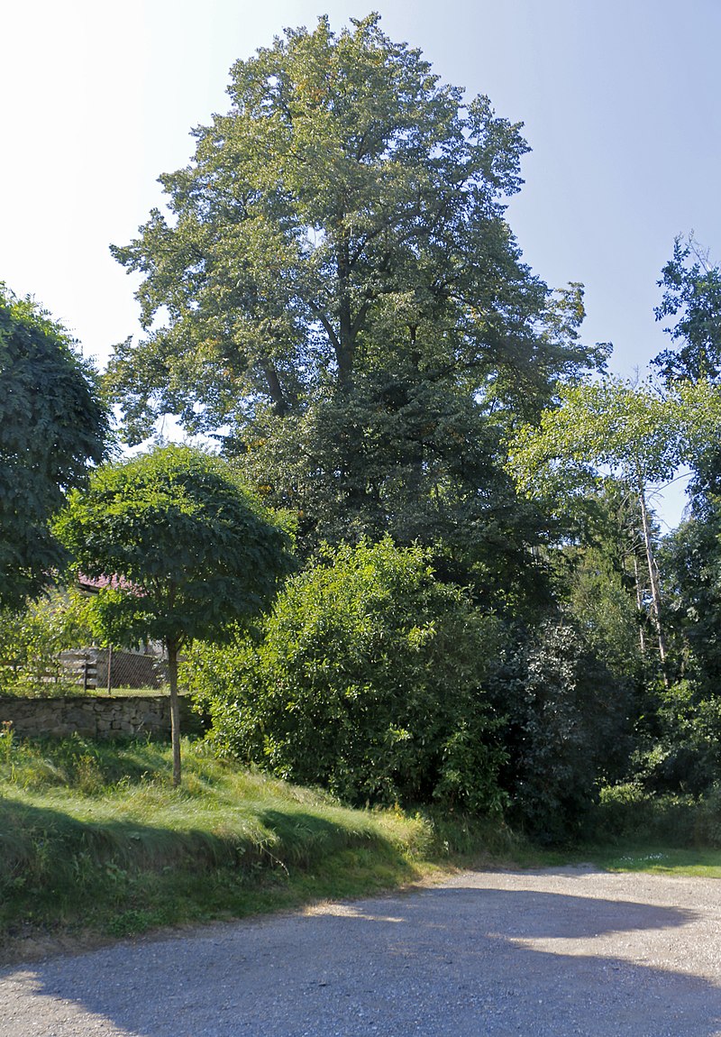Křížová cesta (Strakonice) - ventip.cz