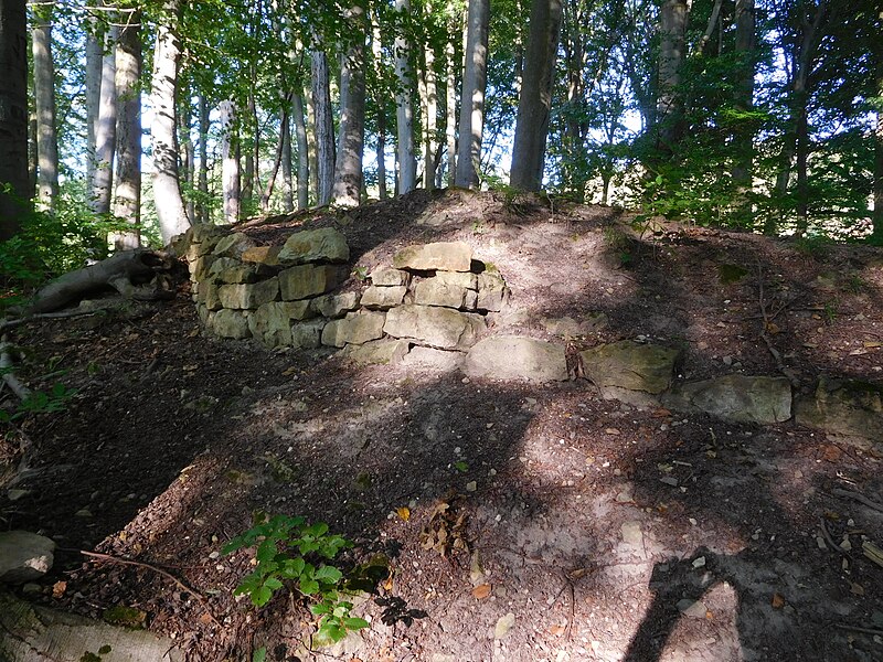 Mokřice (hrad) - ventip.cz