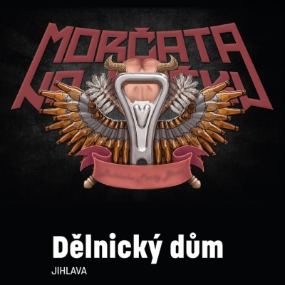 Morčata na útěku - ventip.cz