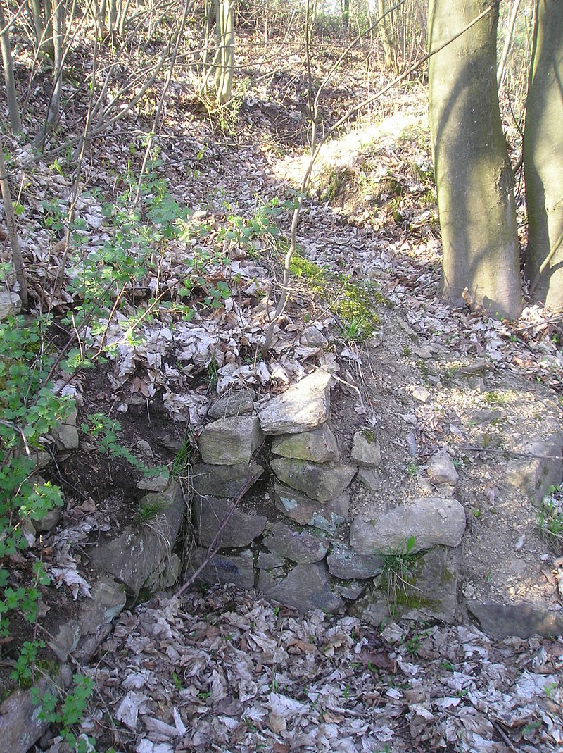 Mostiště (hrad) - ventip.cz