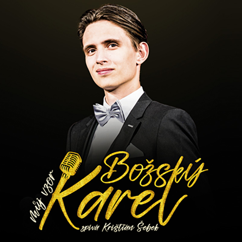 Můj Vzor