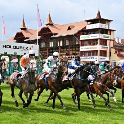 Oaks