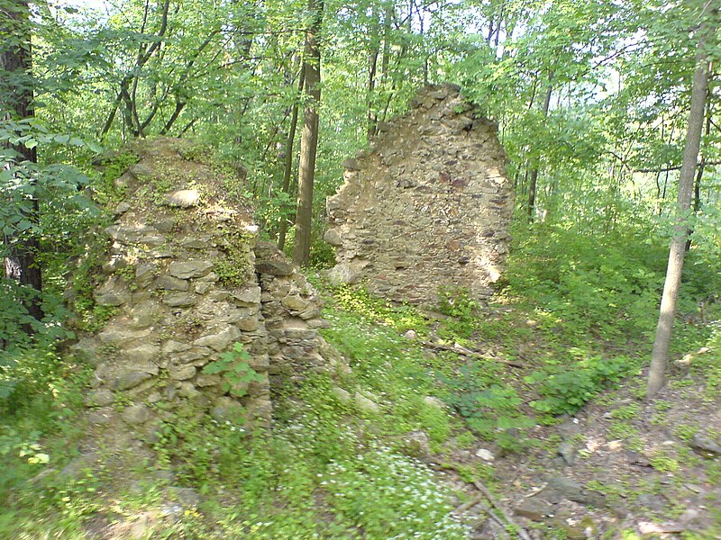 Pušperk (hrad) - ventip.cz