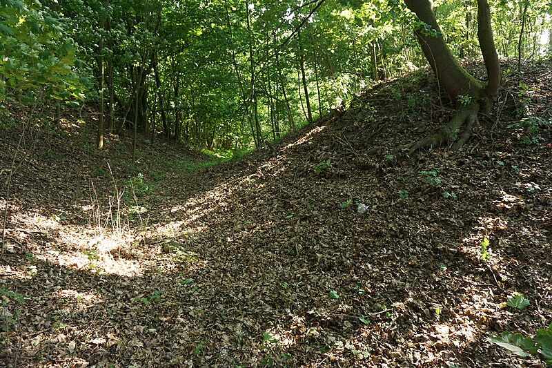 Rácov (hrad) - ventip.cz