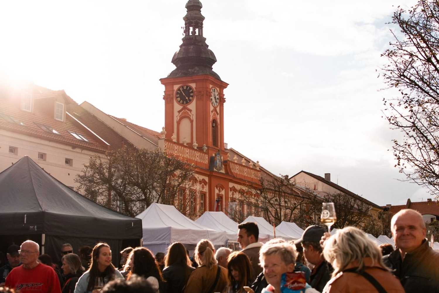 Rakovnický festival vína 2025 - ventip.cz