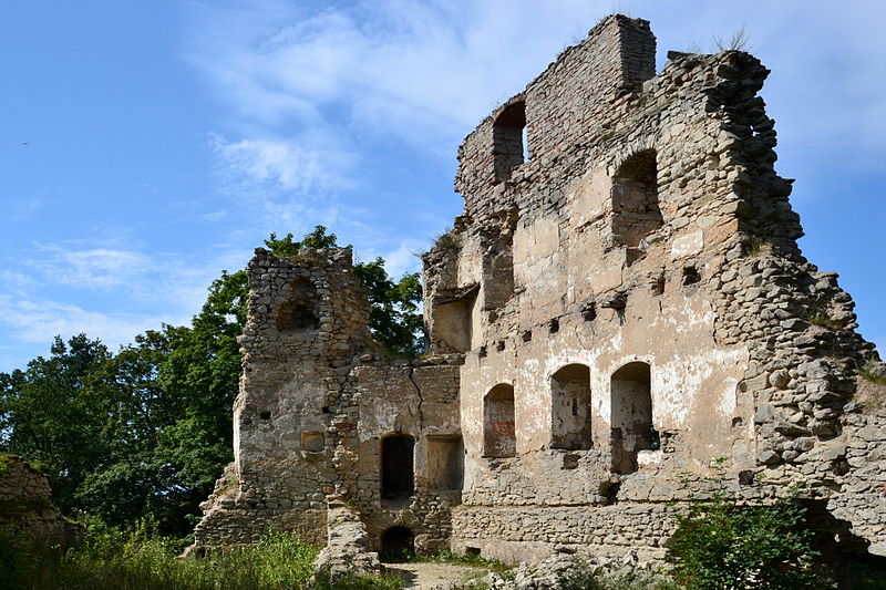 Starý Rybník (hrad) - ventip.cz