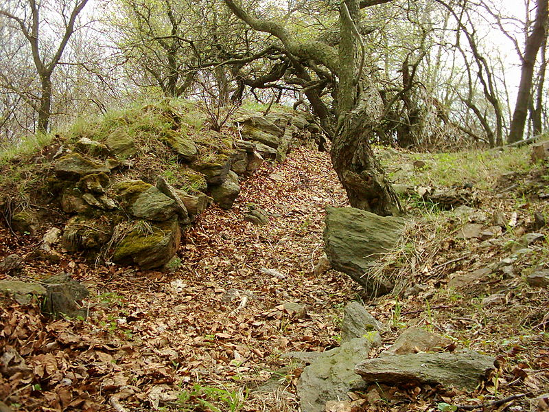 Starý Žeberk (hrad) - ventip.cz
