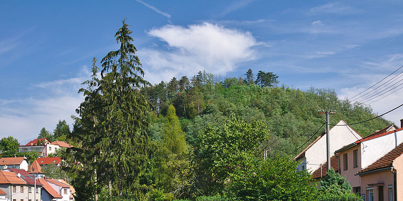 Svitávka (hrad) - ventip.cz