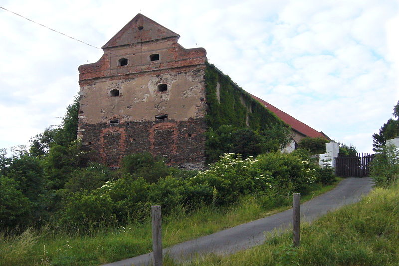 Třebel (hrad) - ventip.cz