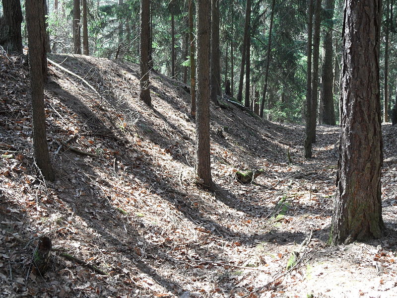 Třebonín (hrad) - ventip.cz