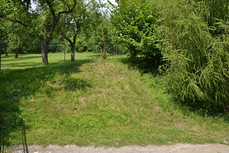 Veselice (hrad) - ventip.cz