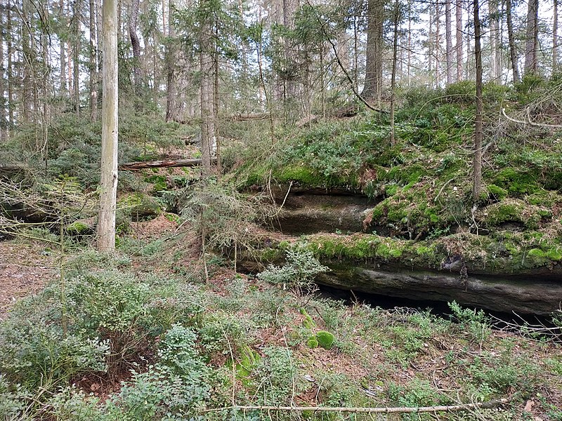 Vlčí hrádek (hrad) - ventip.cz