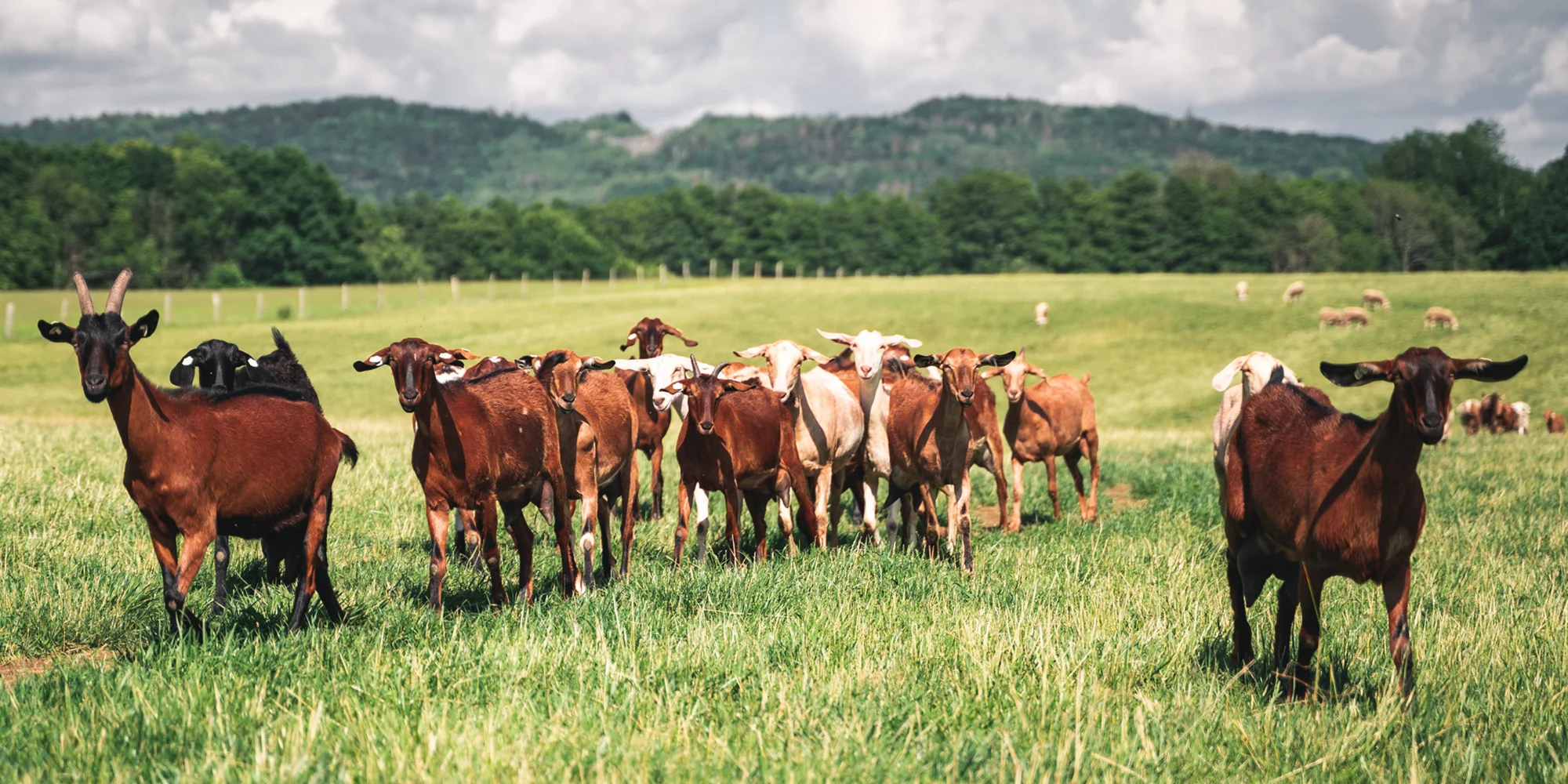 Farma Držovice - ventip.cz