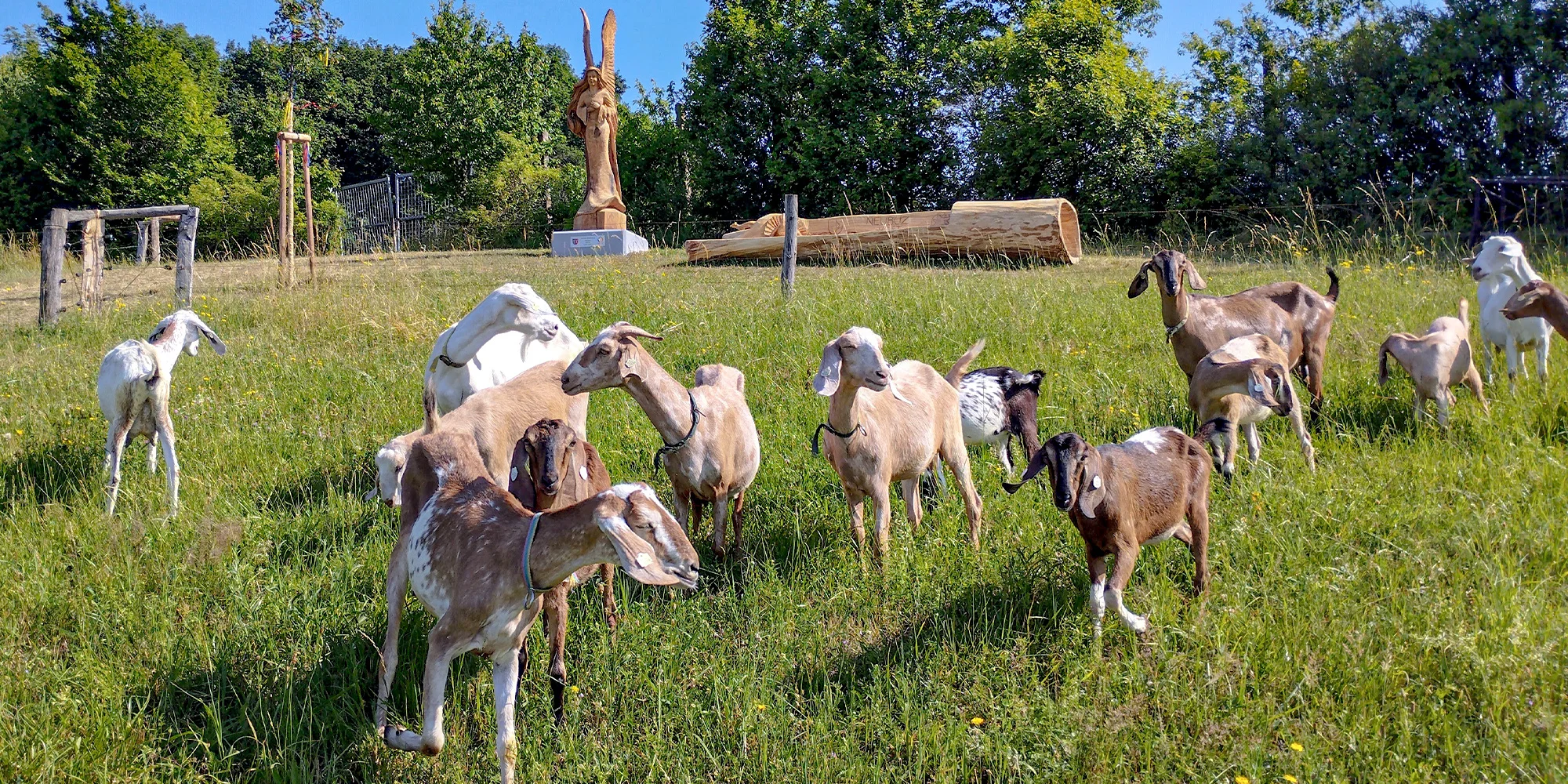 Farma Tomšíčkovi - ventip.cz