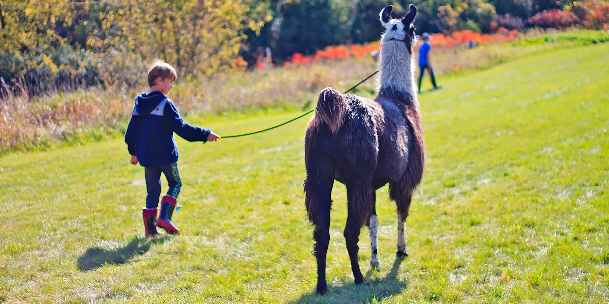 Farma pod Hradem - ventip.cz