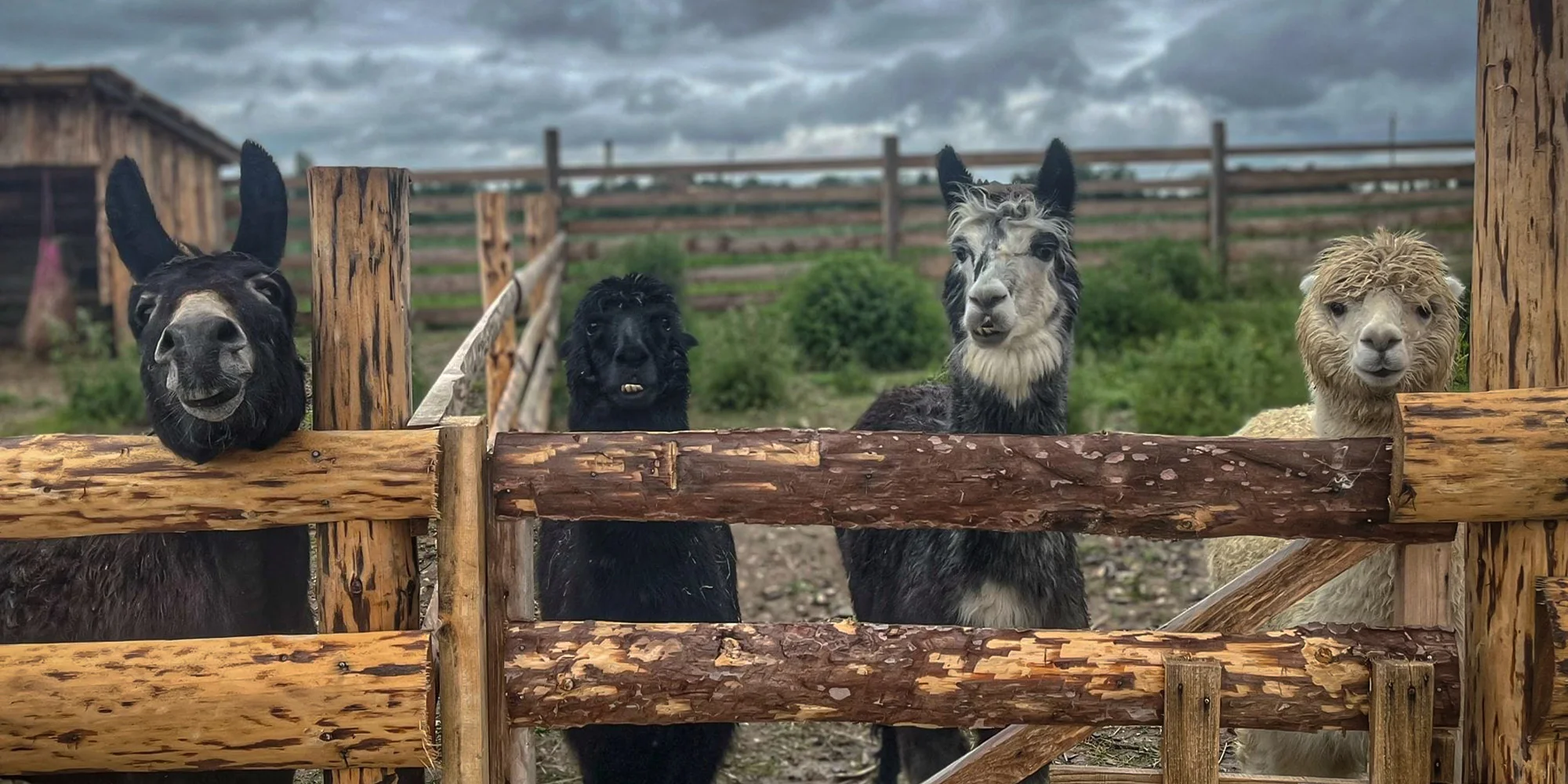 Farmapark Dobřany - ventip.cz