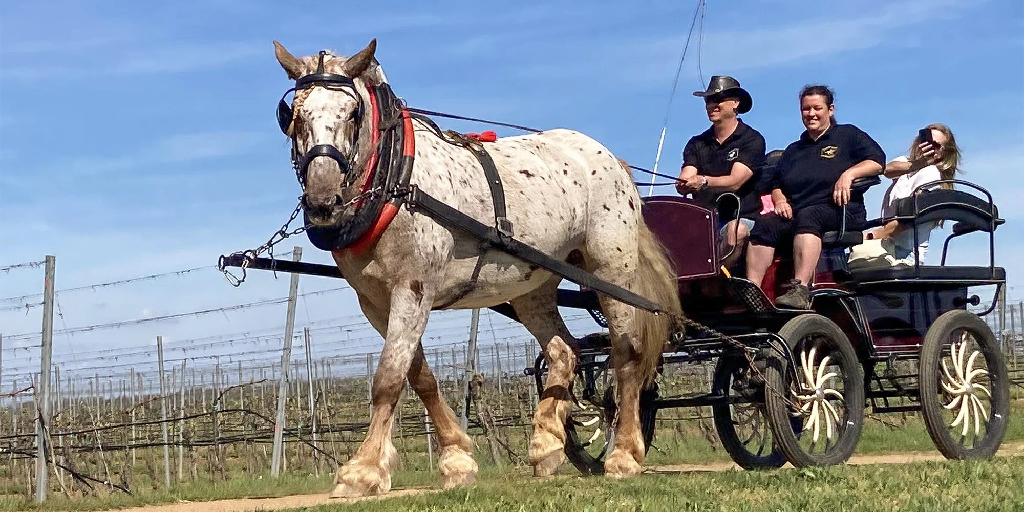 Horse Farm Lechovice - ventip.cz