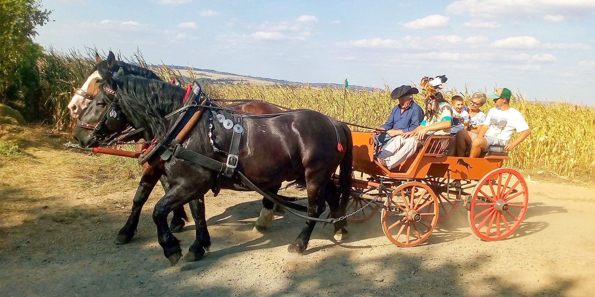 JS Lucca - ventip.cz