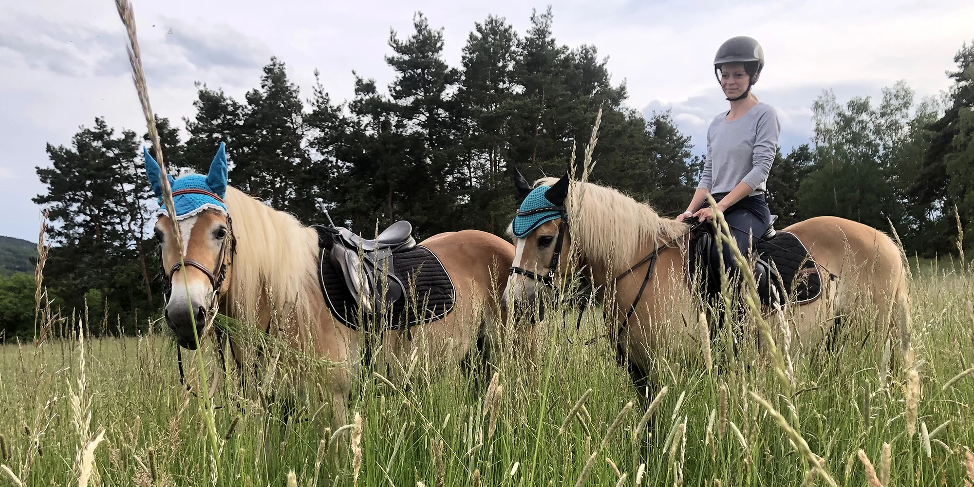 Jezdecká škola AK - ventip.cz