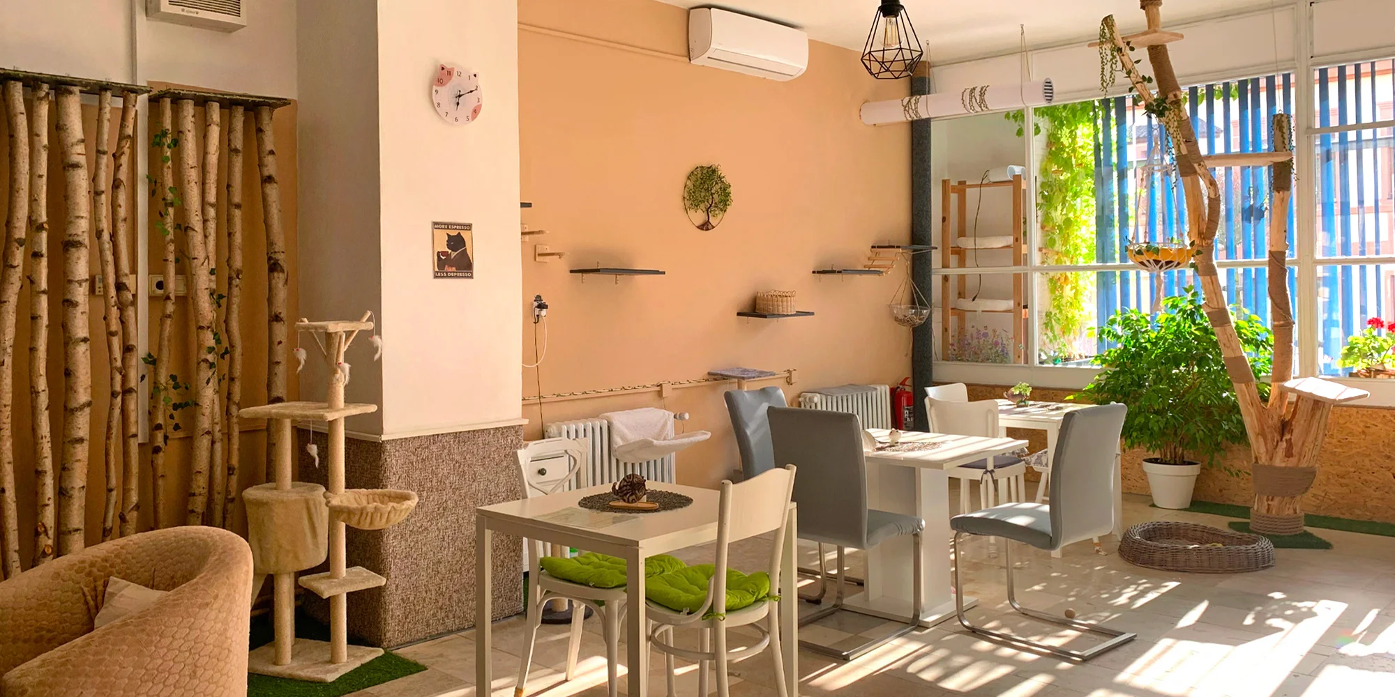 Kafe U Kočky - ventip.cz