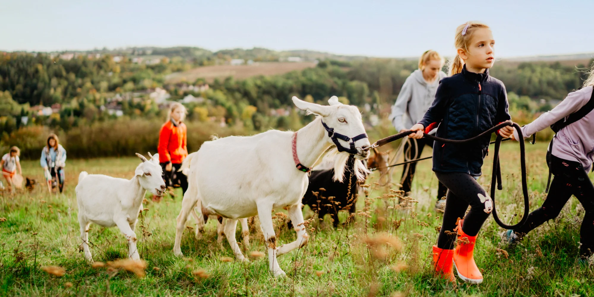 Kozí spolek Třebíč - ventip.cz
