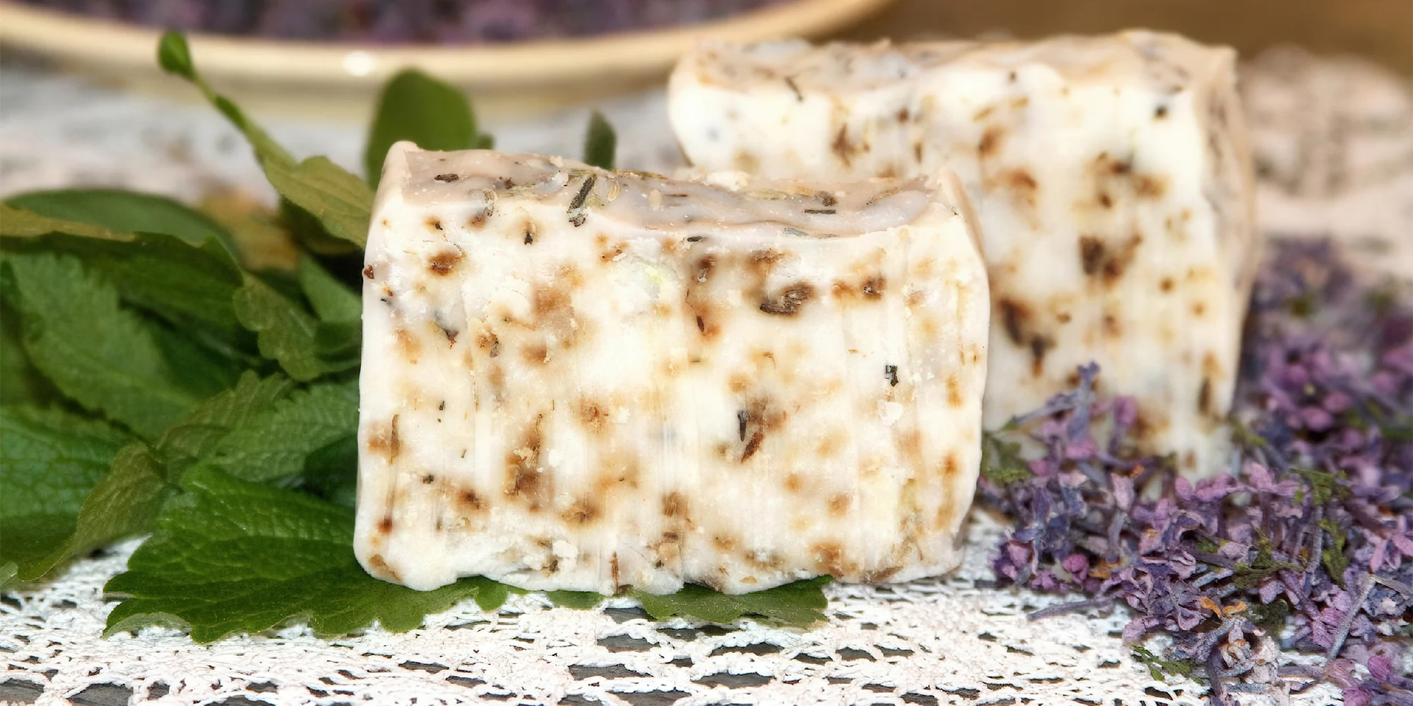 Mederův dům - ventip.cz