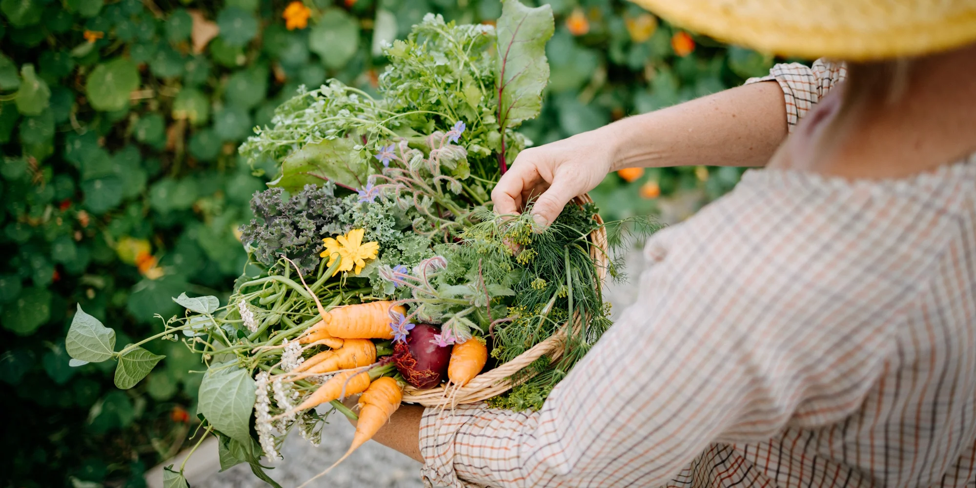 Pastvina - ventip.cz
