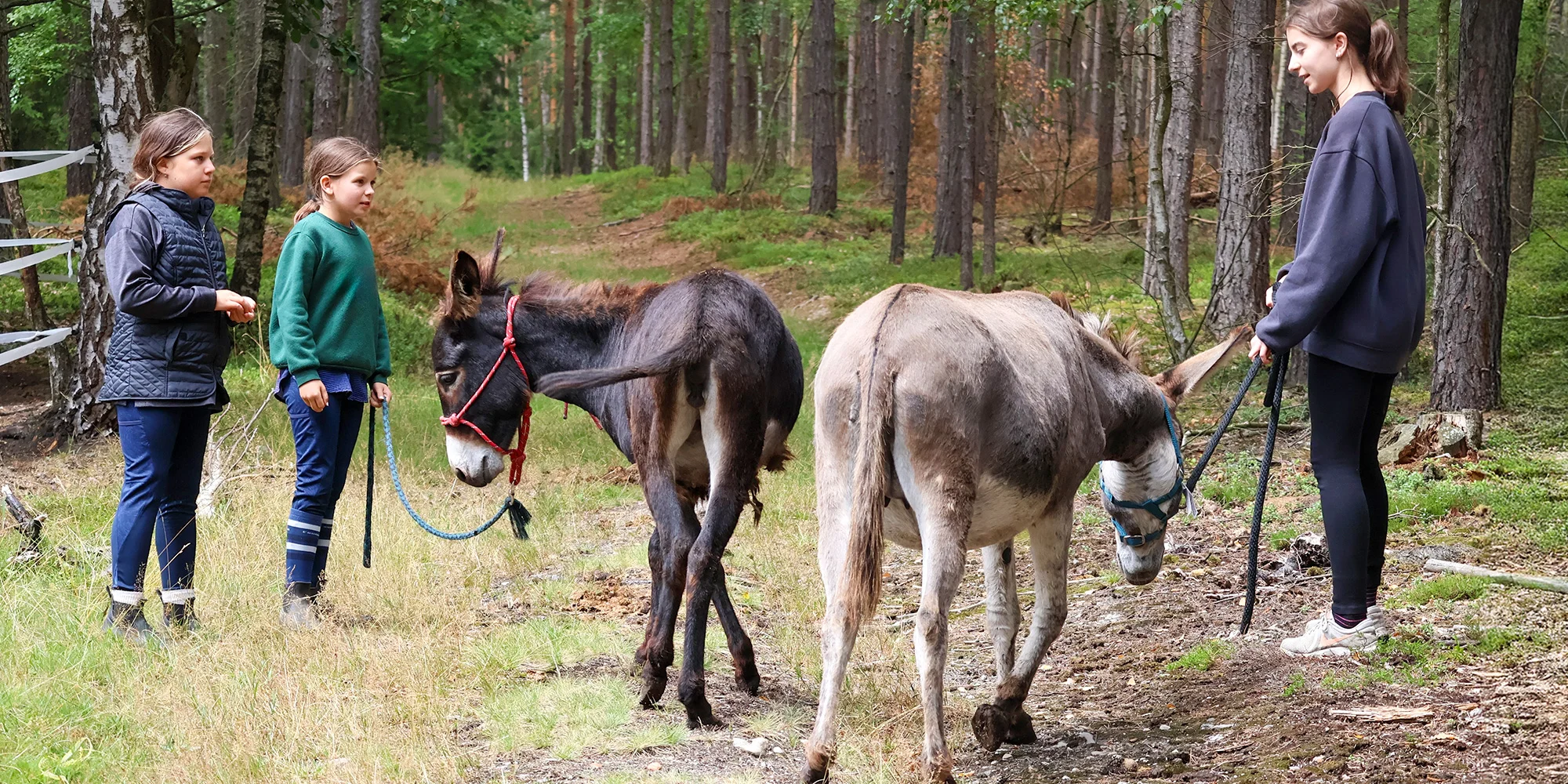 Ranč Esencis - ventip.cz