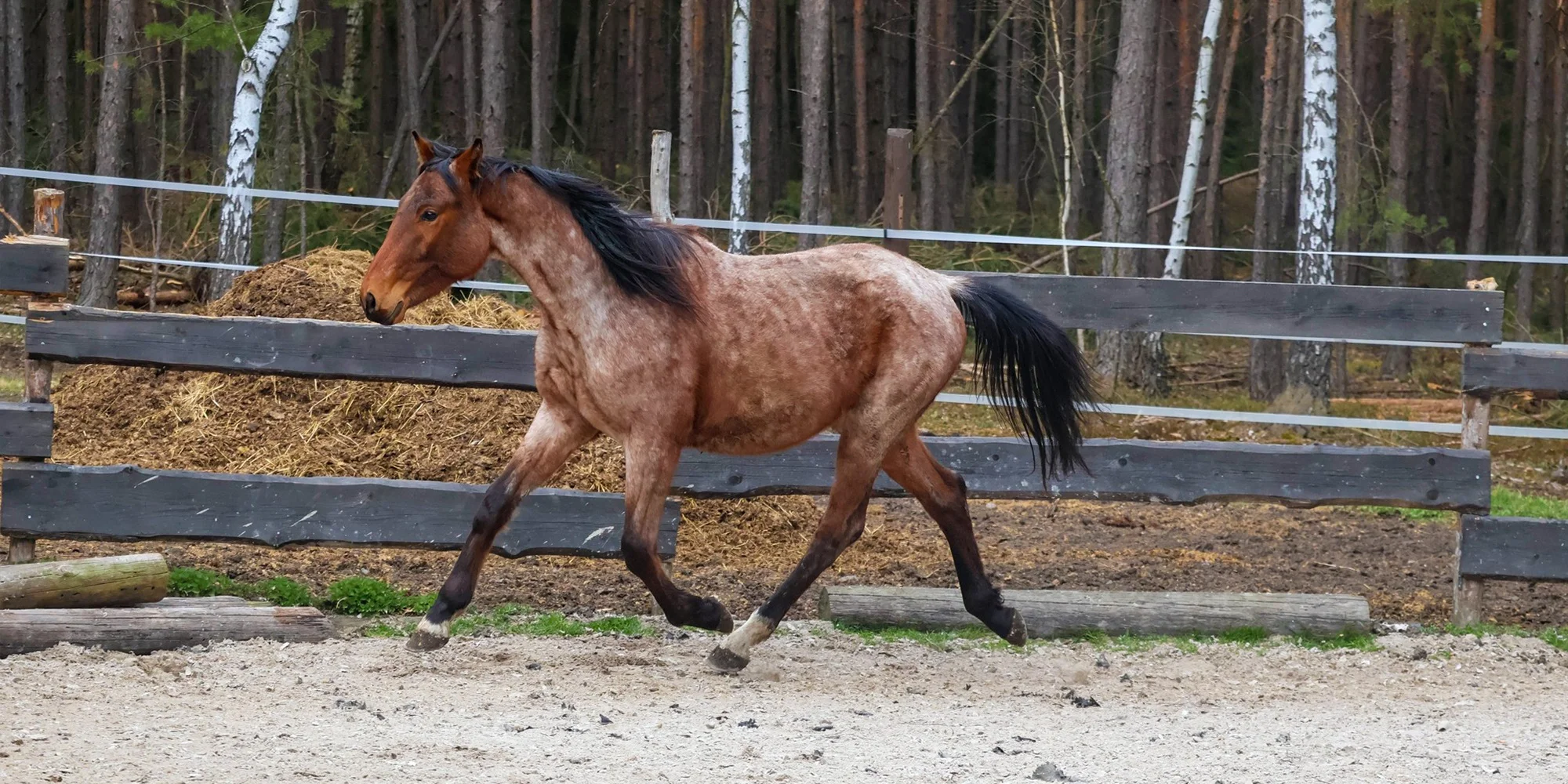 Ranč Esencis - ventip.cz