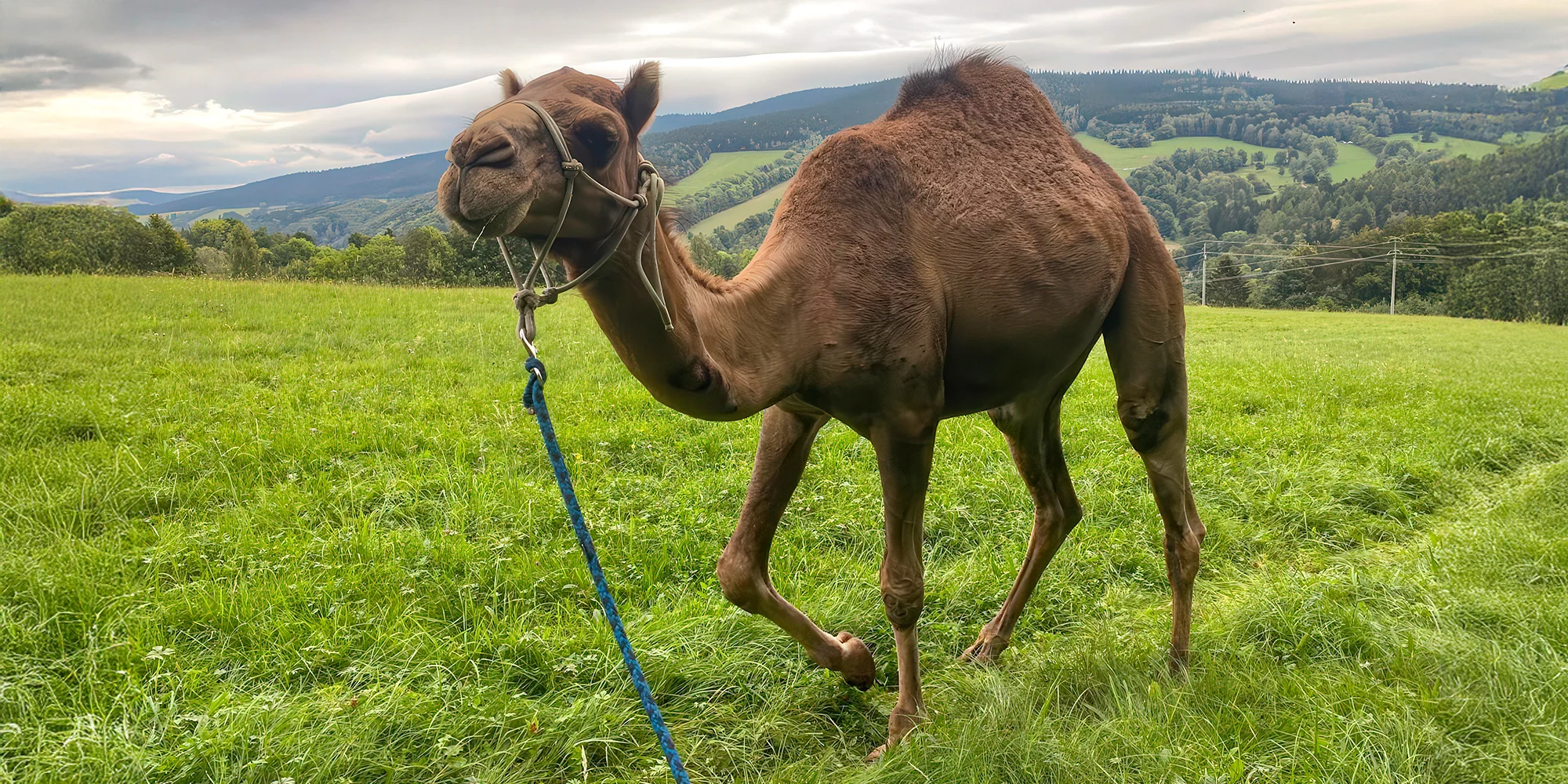 Rodinná farma Vlček - ventip.cz