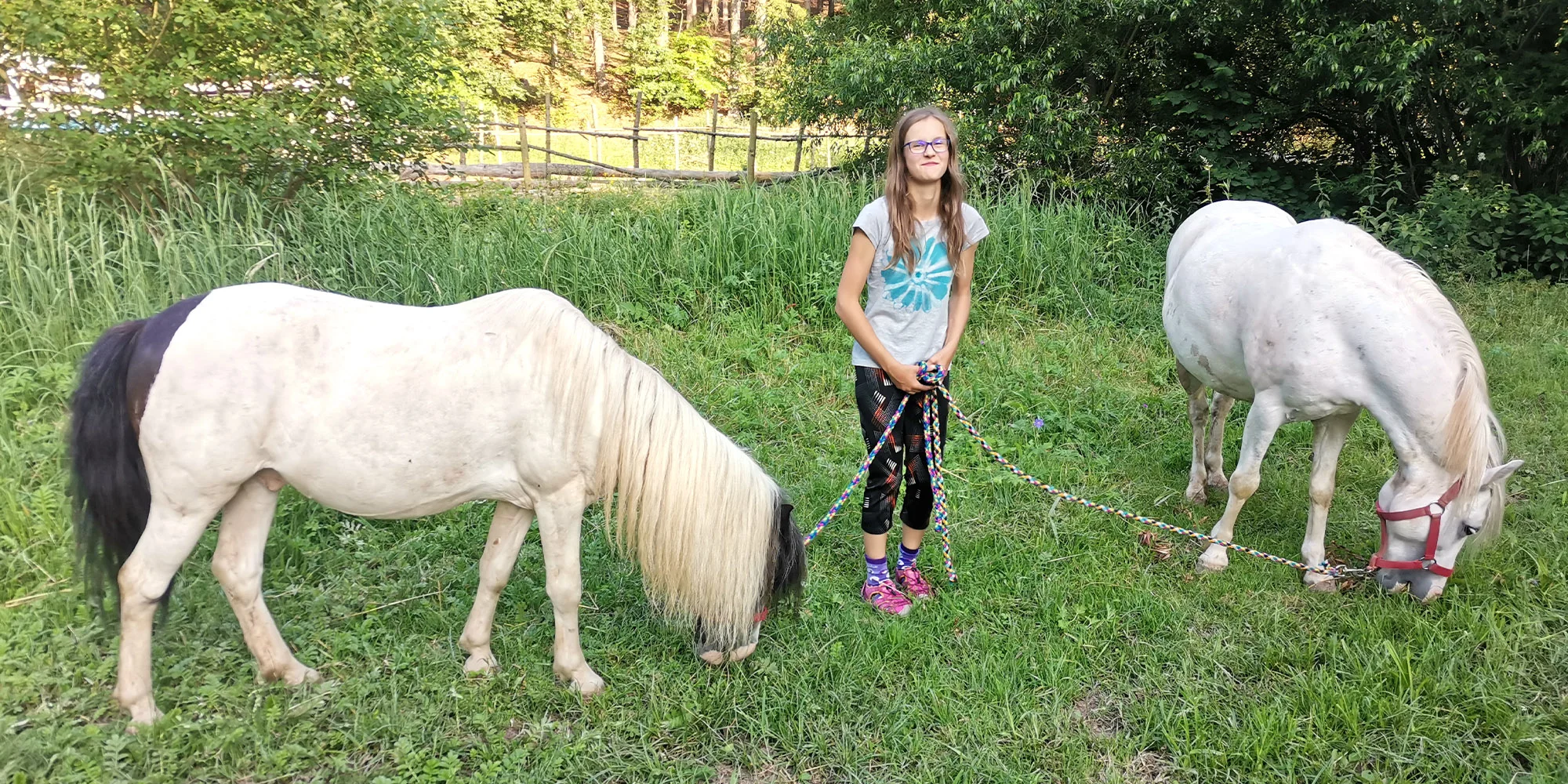 Rodinná farma černá vovce - ventip.cz