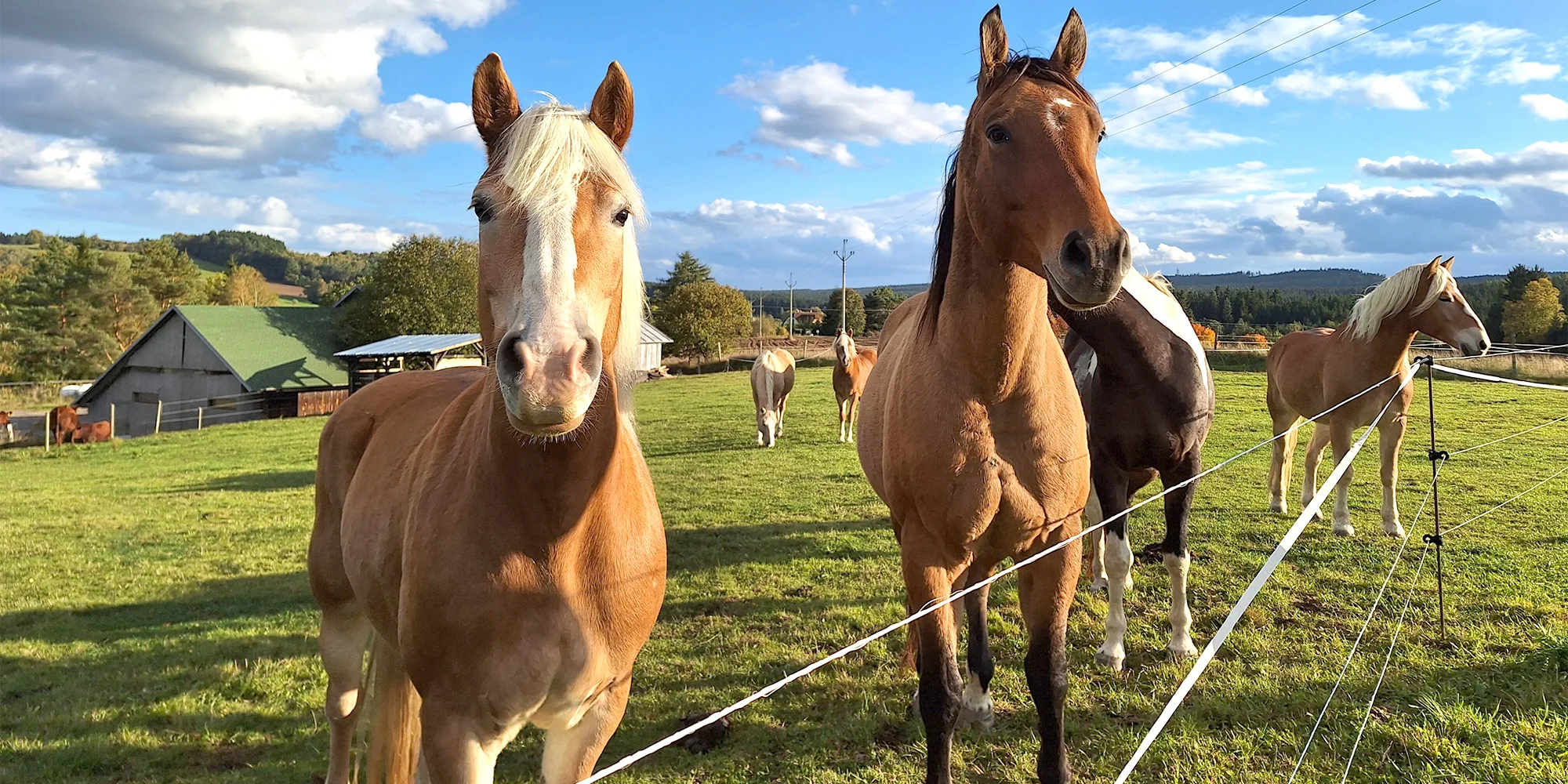 Stáj Claudie - ventip.cz